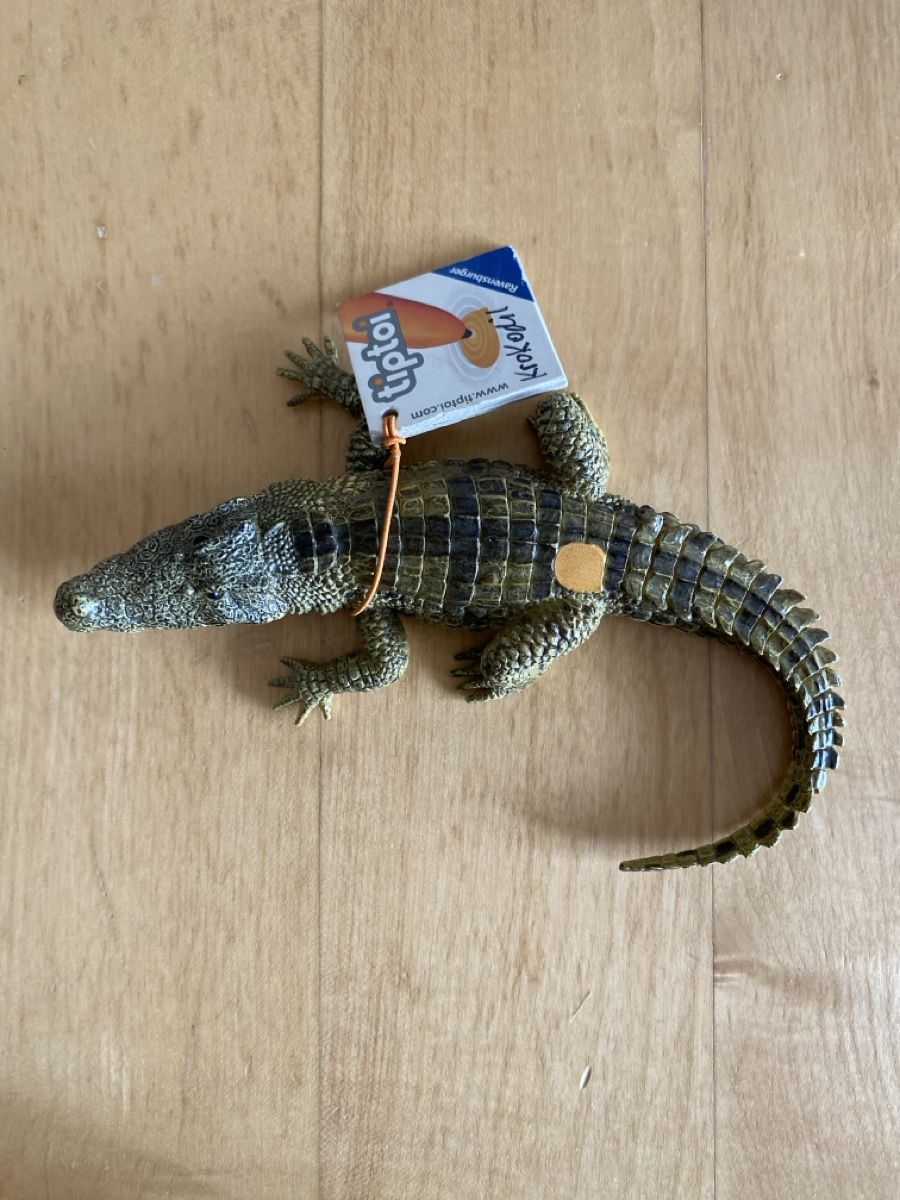 Ravensburger Spiele: Tip Toi Krokodil – Gebraucht aus Illnau von Dodo115