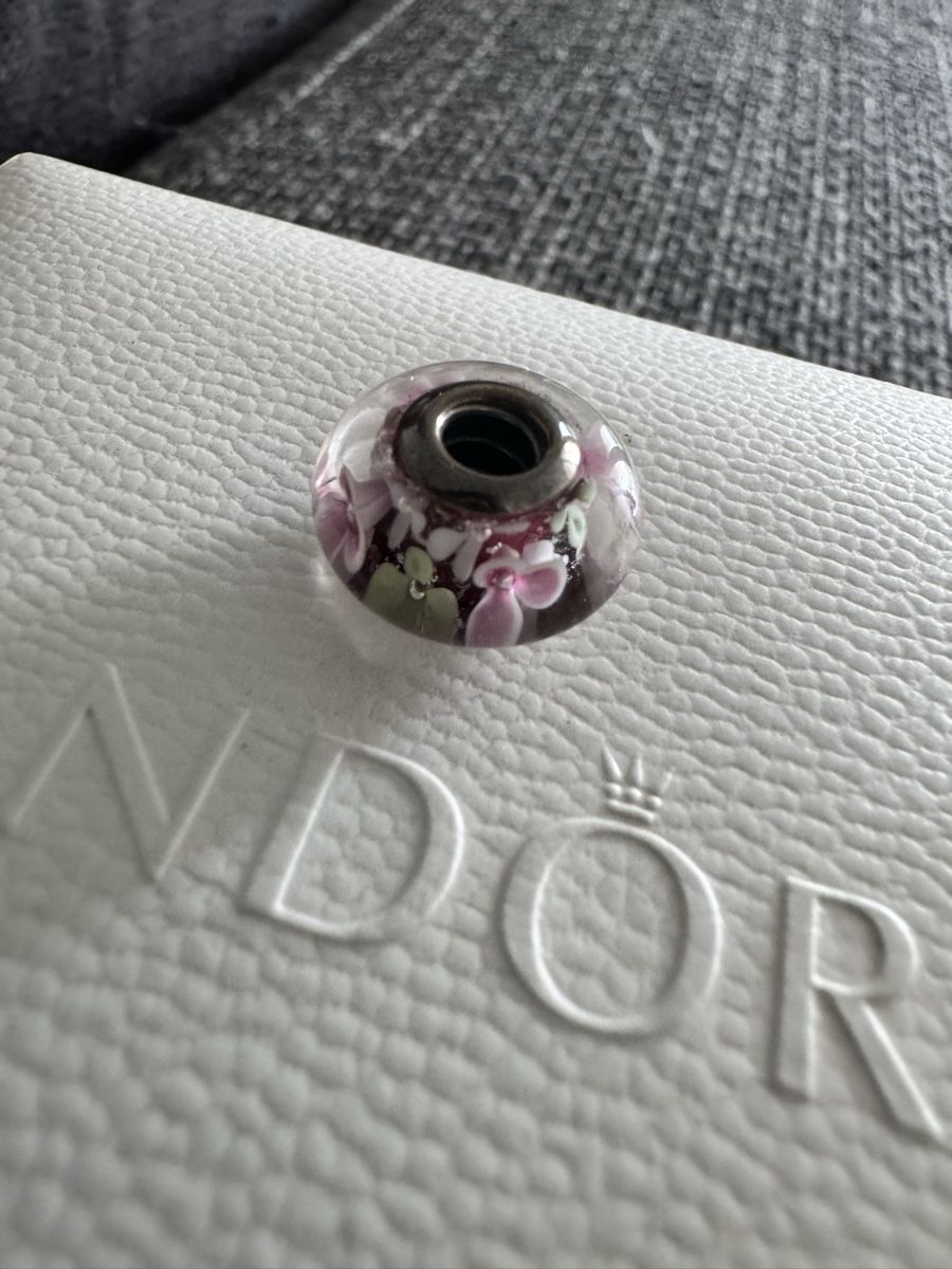 Pandora Pendentifs: Pandora Charm – Neuf (Voir description) à Kerzers par SaphiraKH 1