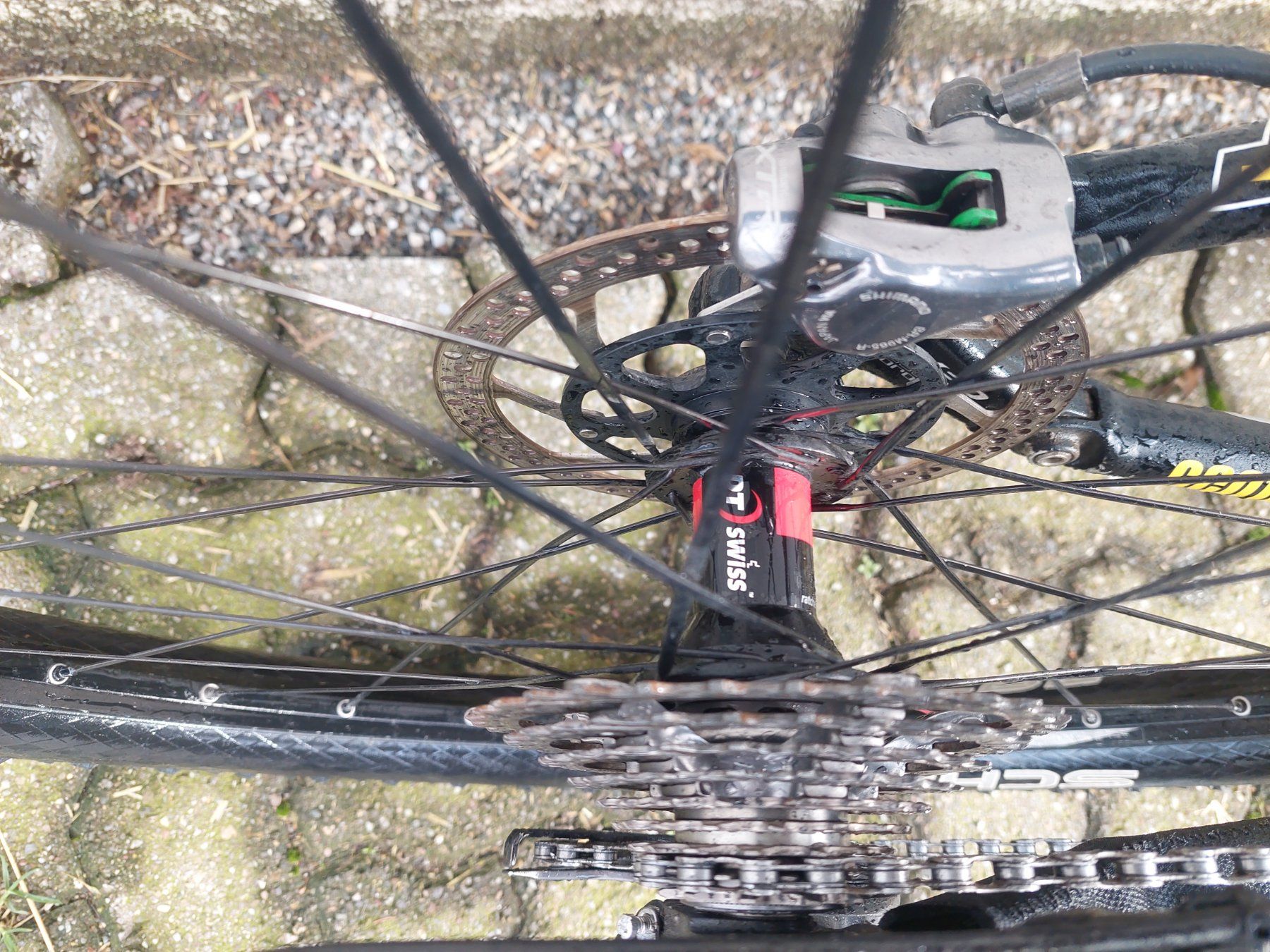 Scott Biciclette: MTB SCOTT mit XTR Parts – Usato da Kyburg venduto da JBMNT2020 4