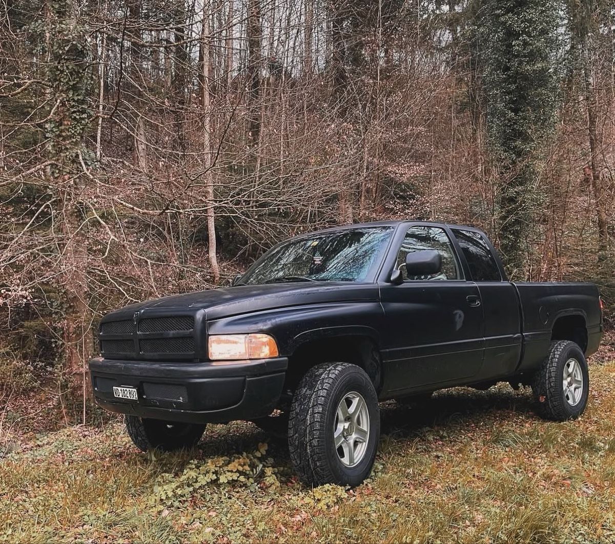 Pneumatici & Ruote complete: Roues complètes Dodge Ram – Usato da Donneloye venduto da Edelweiss_jeep