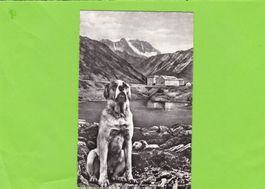 Hospice St. Bernard