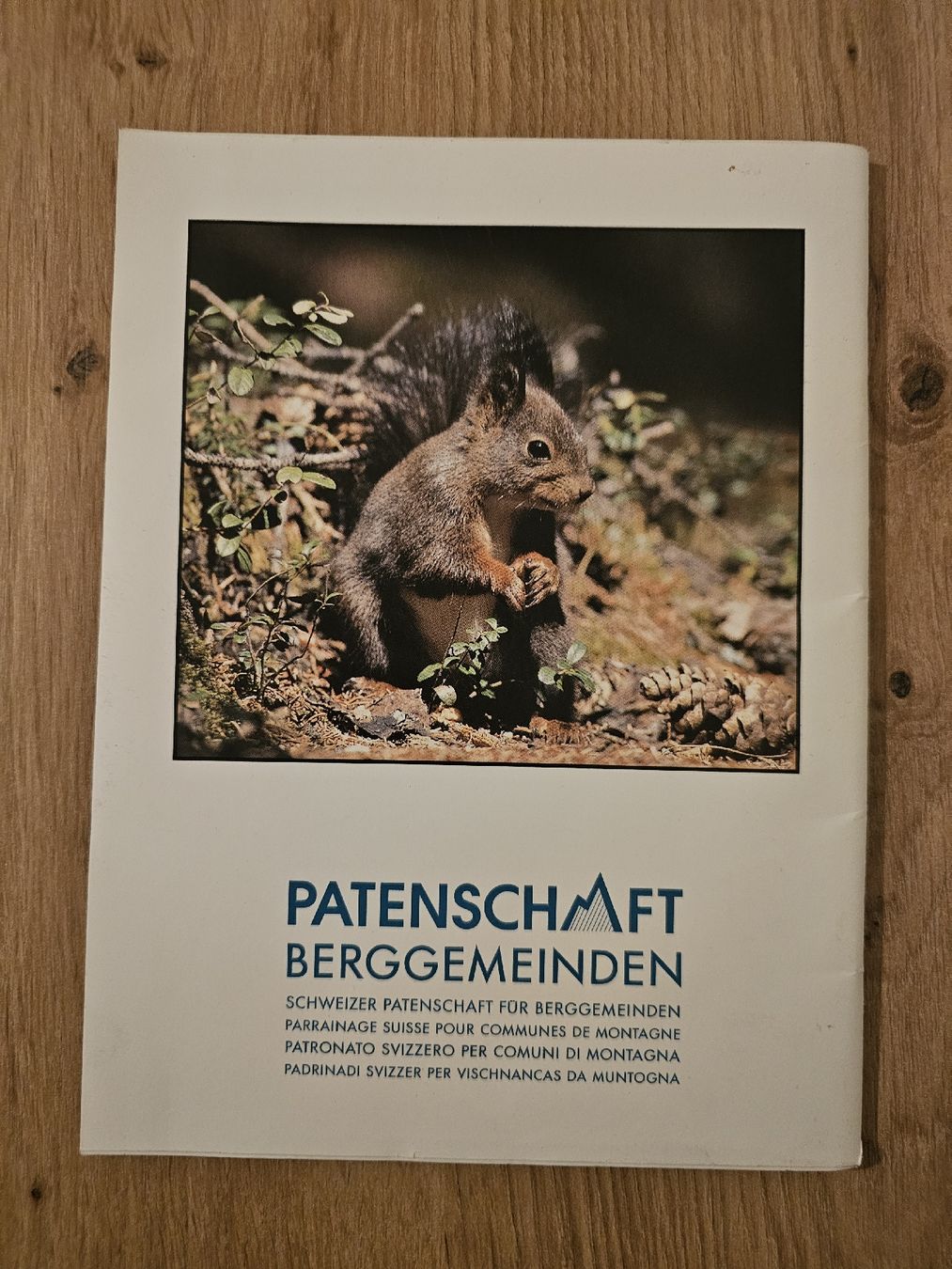 Riviste & Magazine: Wir Bergler sind häuslich -Heft – Usato da Burgdorf venduto da Paedii01 1