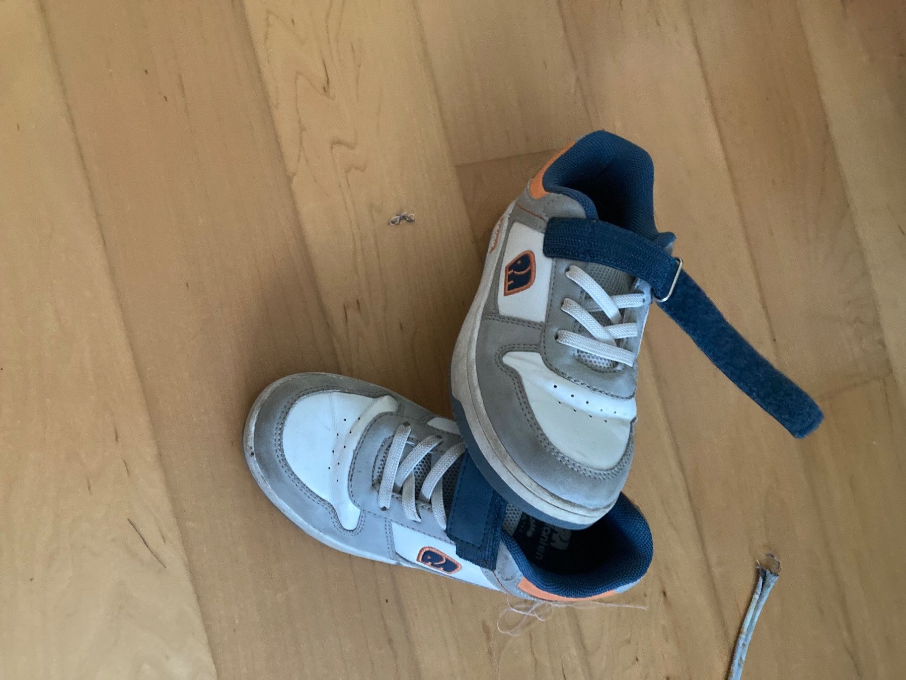 Elefanten Chaussures garçon: Kinder Turnschuhe Elefanten Grösse 31 – D'occasion à Menziken par Ale.burri