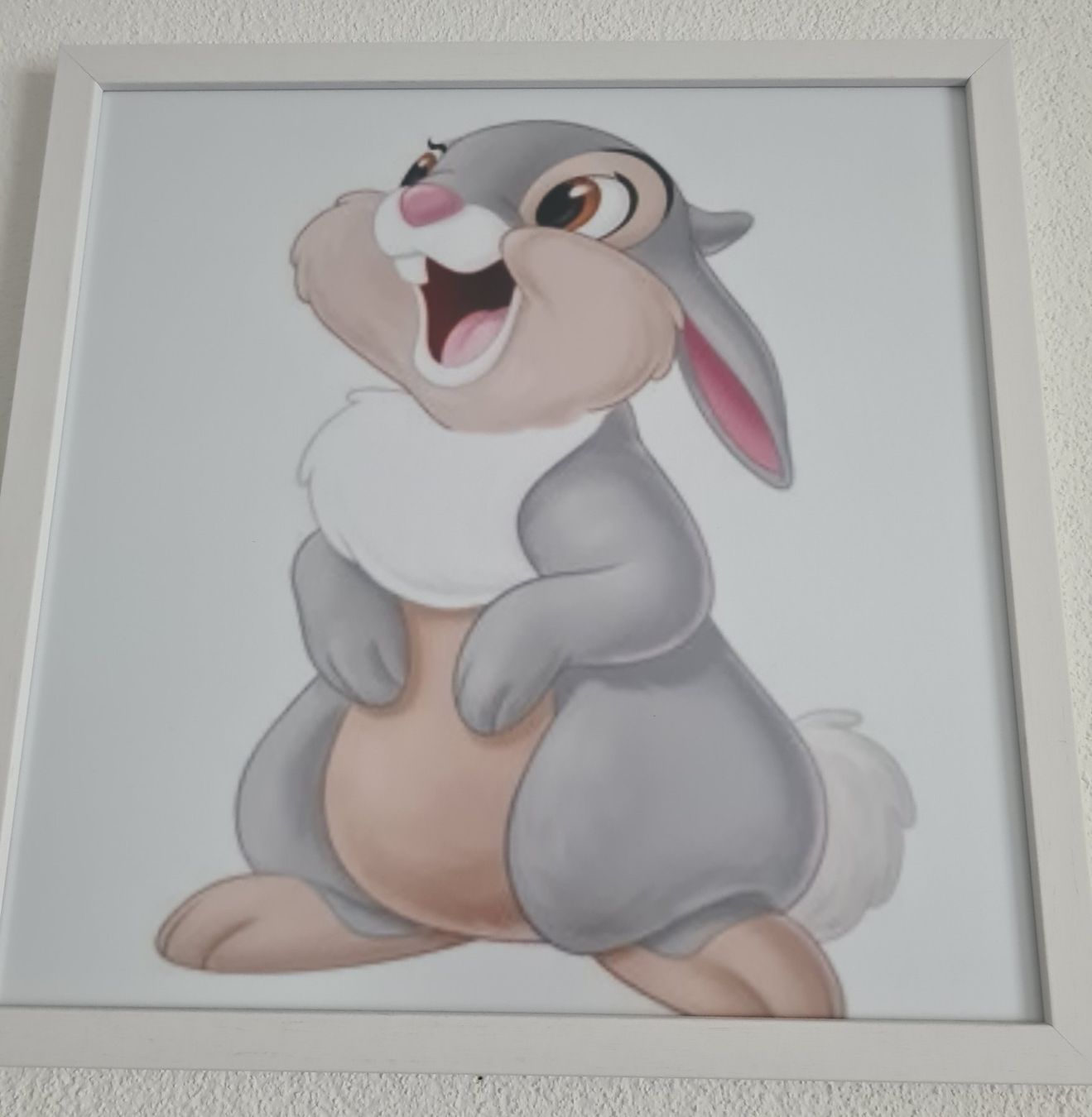 Foto & Immagini: Bambi Bilder Set – Usato da Büttikon AG venduto da bluehim74 3
