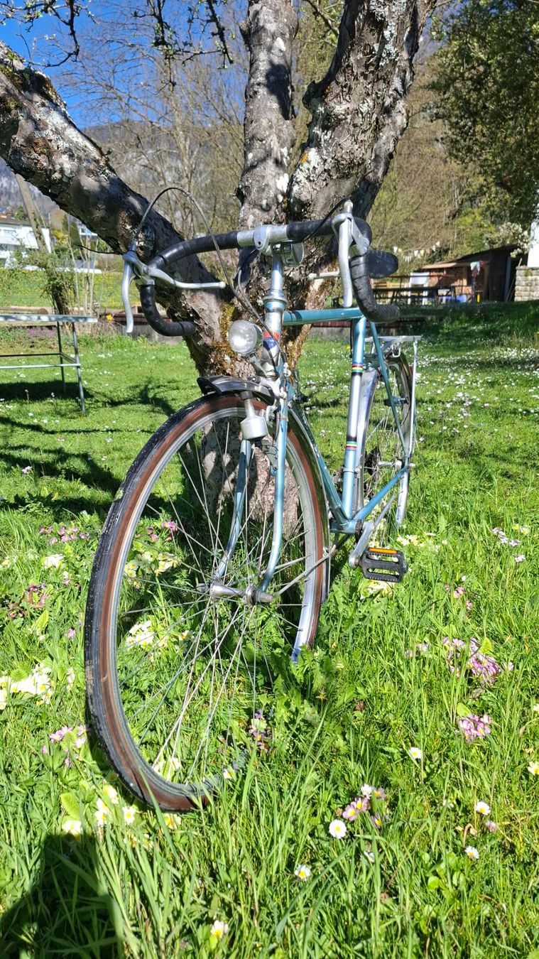 Biciclette: Schönes Vintage Velo KRISTALL – Usato da Rüttenen venduto da Knief 1
