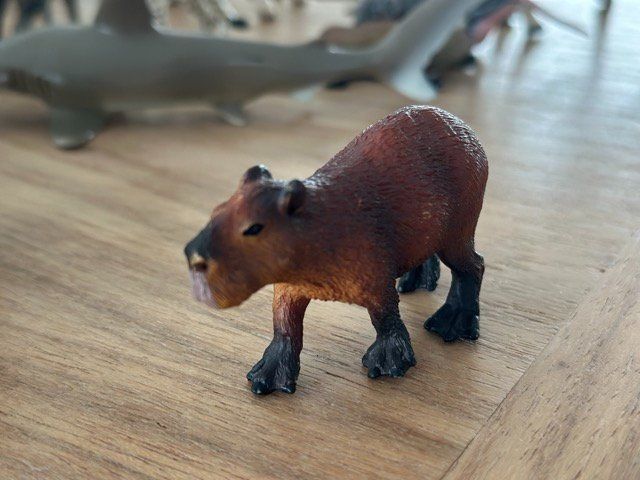 Statuette: Safari Ltd. Capybara Sammelfigur – Usato da Fällanden venduto da SafariSchleichCH
