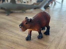 Safari Ltd. Capybara Sammelfigur