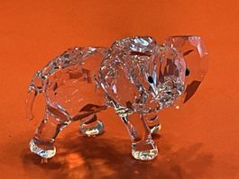 Swarovski Elefant Mit OVP