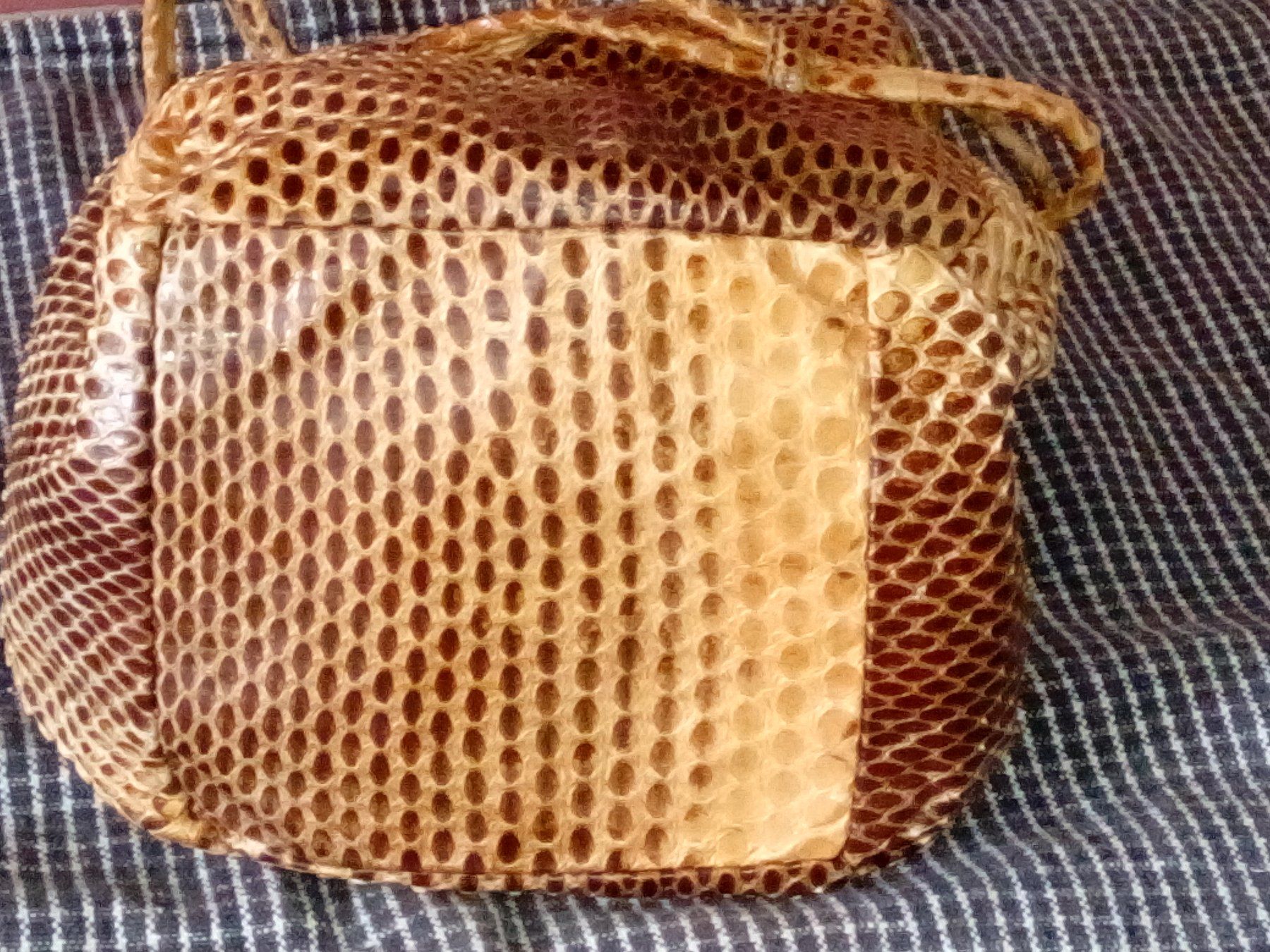 Borse da donna: Beuteltäschchen aus Schlangenleder – Nuovo (secondo la descrizione) da Zürich venduto da Mitzi6 5