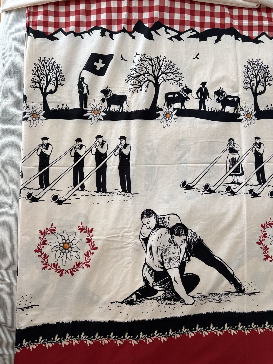 Biancheria da letto: Bettwäsche mit Schwinger Motiv – Usato da Rümlang venduto da baselsale1 1