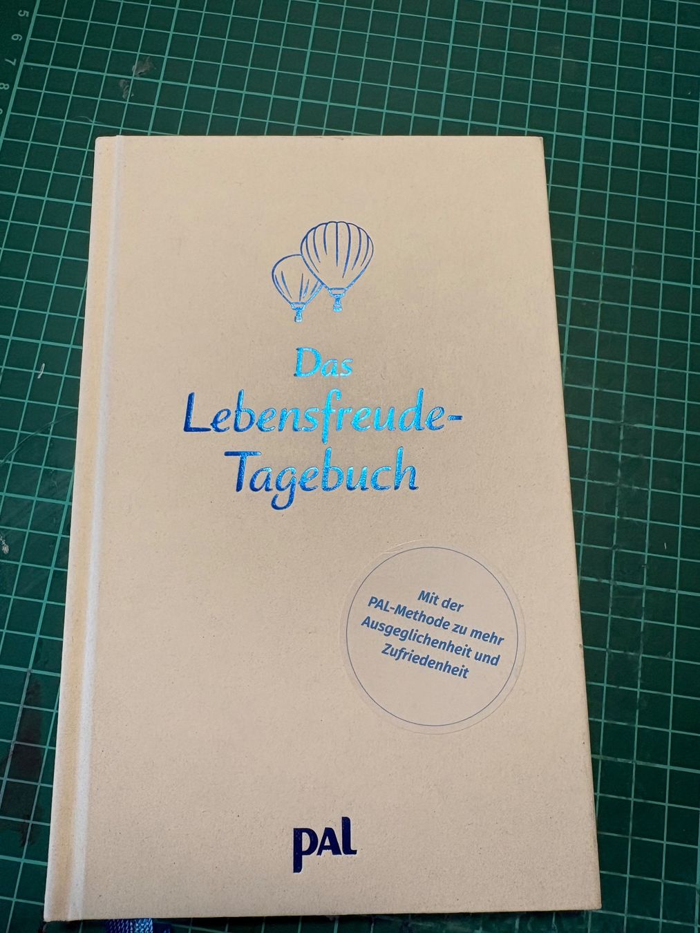 Libri: Lebensfreude Tagebuch – Nuovo (secondo la descrizione) da Kerzers venduto da chassotce