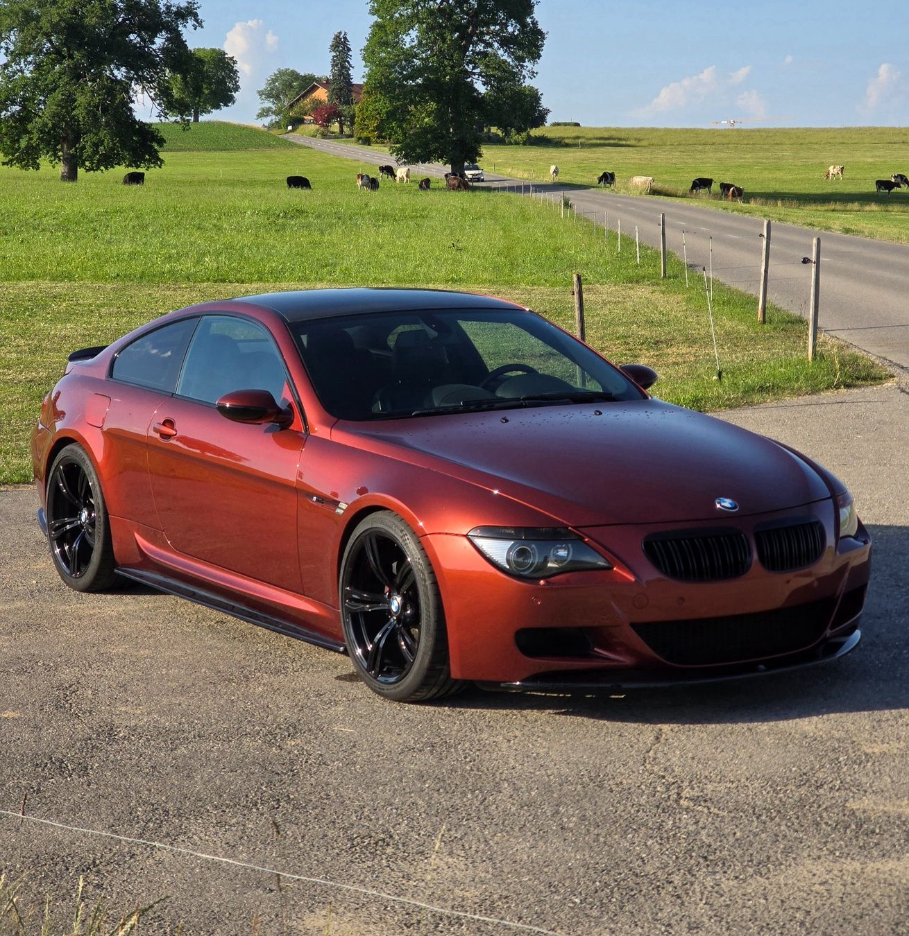 BMW Autos: BMW M6 V10 E63 550PS – D'occasion à Villars-sur-Glâne par Marco_eg6_r