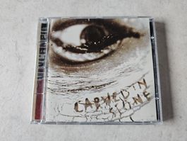 Vince Neil  -  Carved In Stone