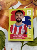 FIFA Sticker Omar Alderete Sunderland AFC Panini United Edit