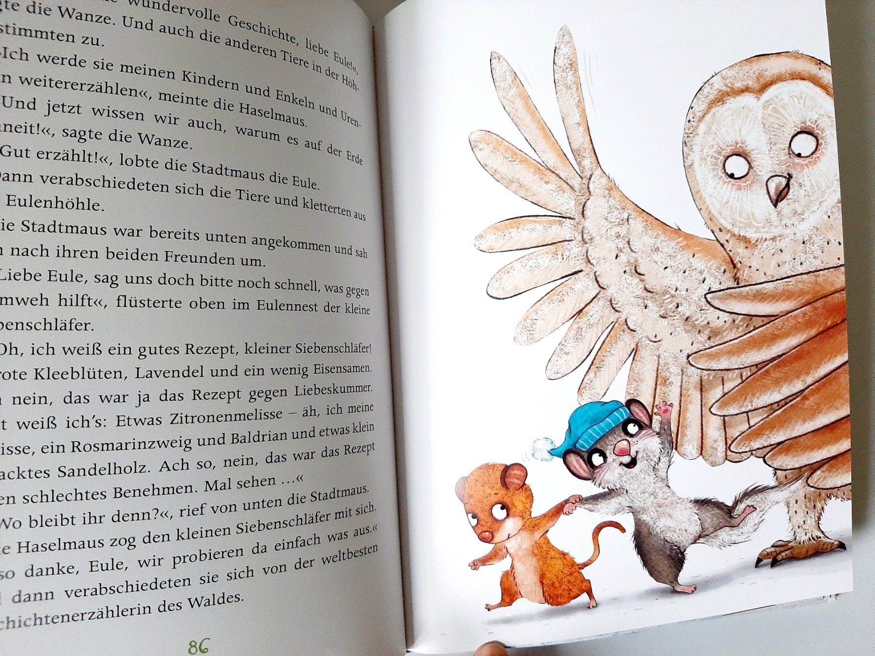 Libri: Ein Lichterwald voller Weihnachtsgeschichten Siebenschläfer – Usato da Flaach venduto da maj_w_ 2