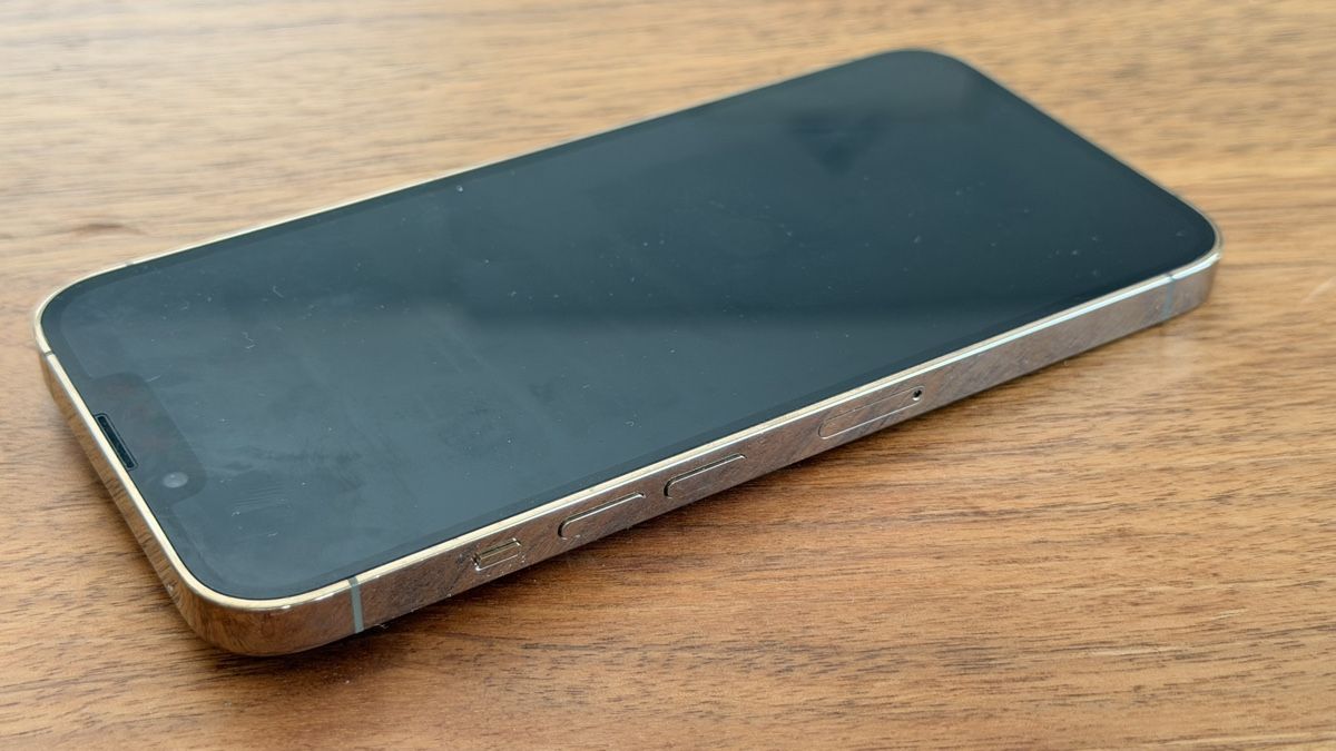 Apple Telefoni cellulari / Smartphones: iPhone 13 Pro – Usato da Aesch LU venduto da HSchnitzler 3