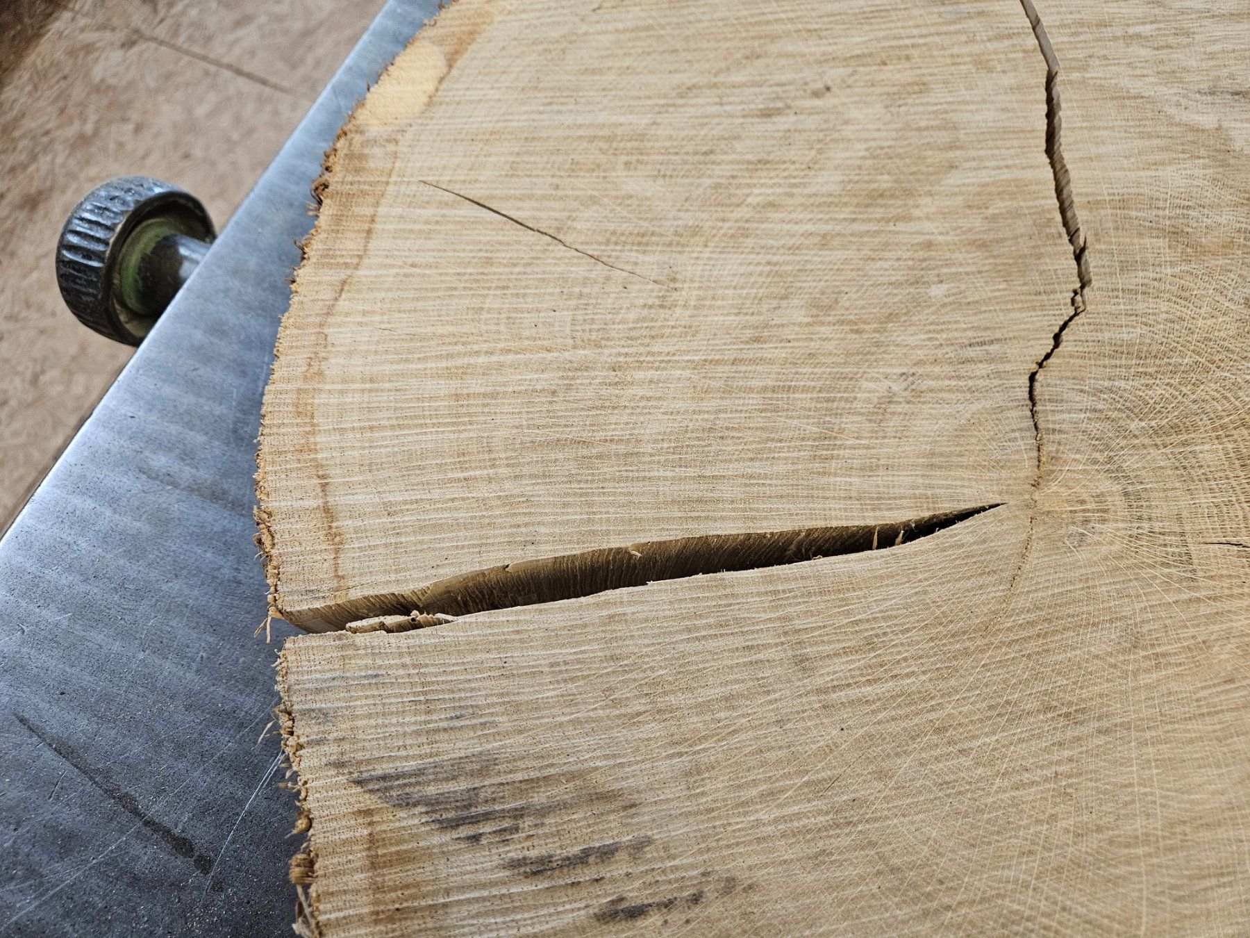 Holzartikel: Eichen Holz Baumscheibe – Neu (gemäss Beschreibung) aus Schangnau von egli6.2 2