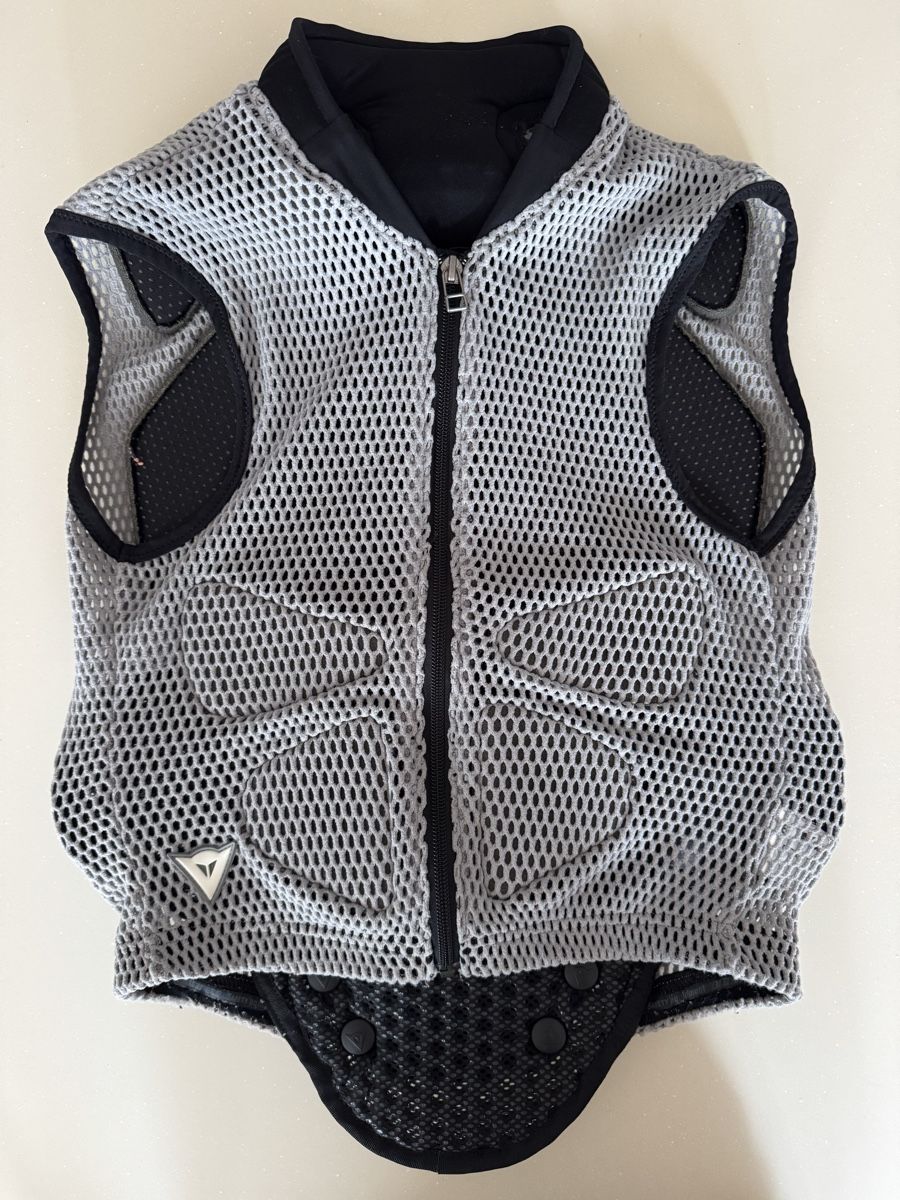 Dainese Protections: Rückenpanzer Dainese S – D'occasion à Galgenen par Vintluxe