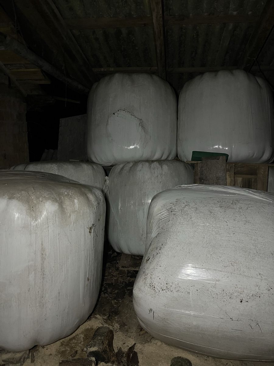 Mangimi: Heulage ballen, Ernte 2025, – Usato da Signau venduto da reb_xv5t