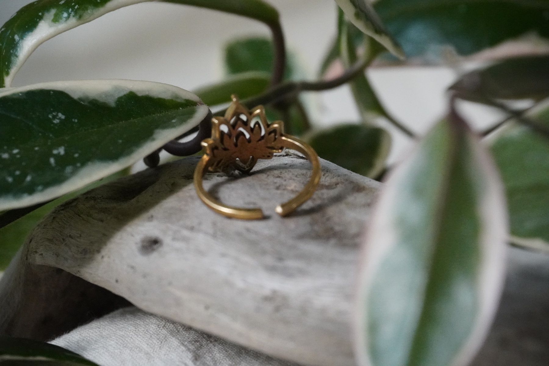 Anelli: Messing Ring Lotusblume - Neu – Nuovo (secondo la descrizione) da Heerbrugg venduto da R.St27 1