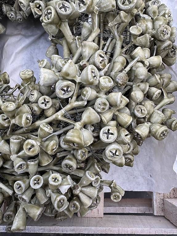 Tutte le decorazioni: Weihnachts Deco Kranz NEU – Nuovo (secondo la descrizione) da Grüningen venduto da Zschenderlein 2