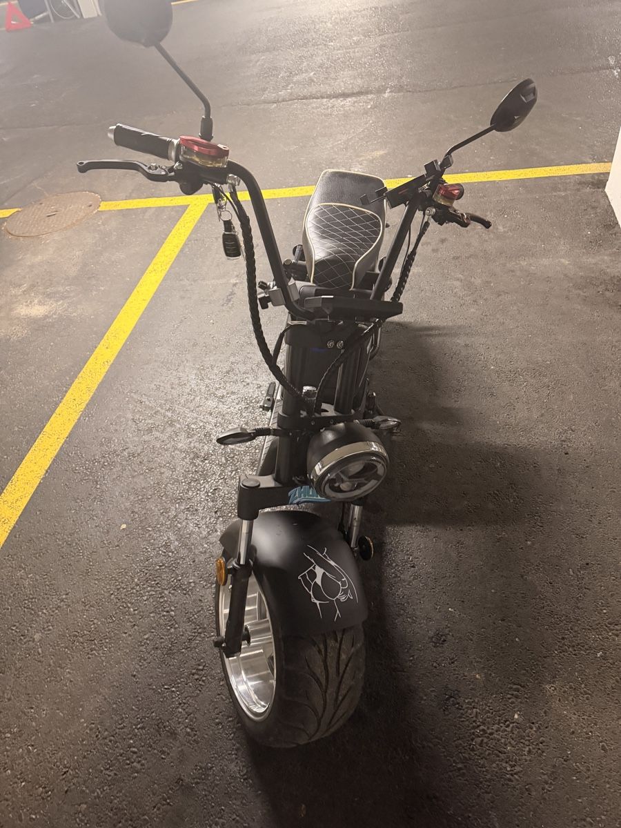 Veicoli elettrici: E-Roller (Citycoco) Fatboy 3.0 – Usato da Winterthur venduto da N-e-A 2