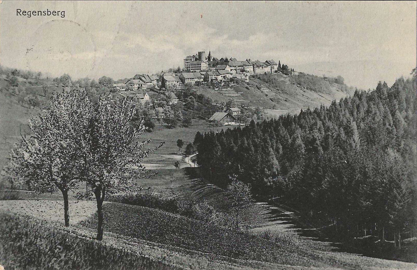 Ansichtskarten: Karte Regensberg 1925 – Gebraucht aus Zürich von Philacat11