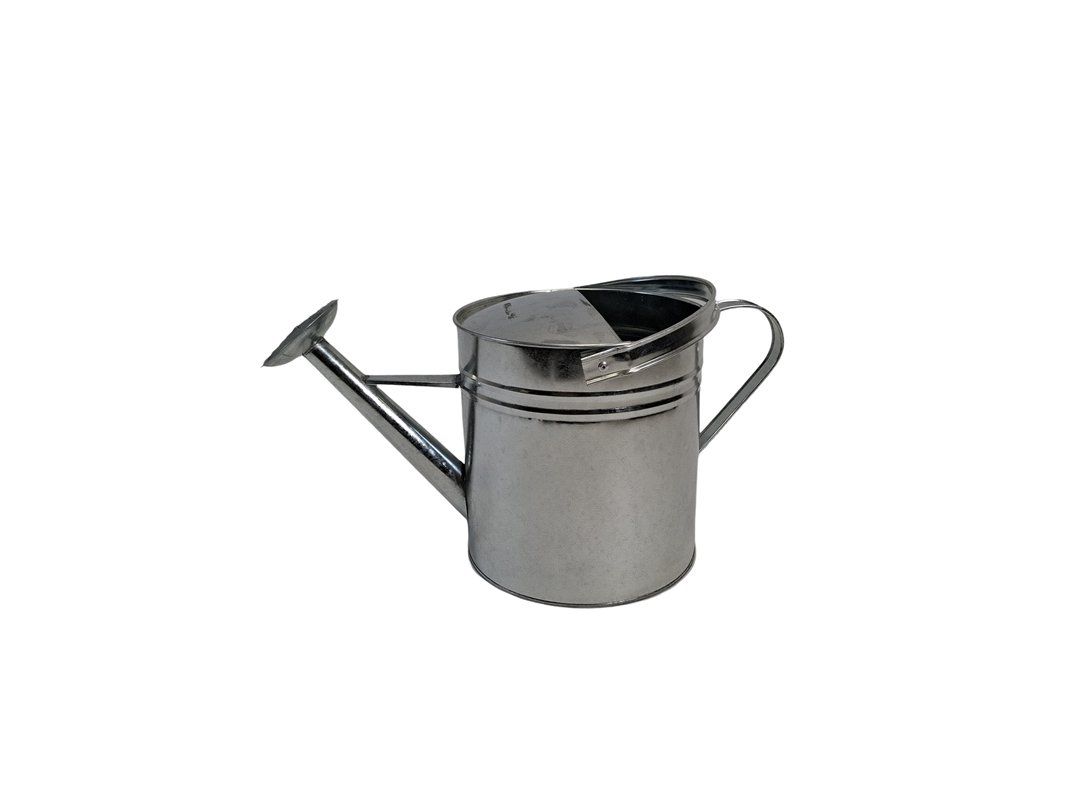 Bewässern & Giessen: HERSTERA Giesskanne 10 L Silber – Gebraucht aus Wil SG von  4