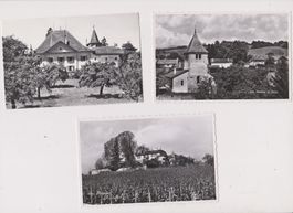 3 cartes postales anciennes Begnins ...  Vaud