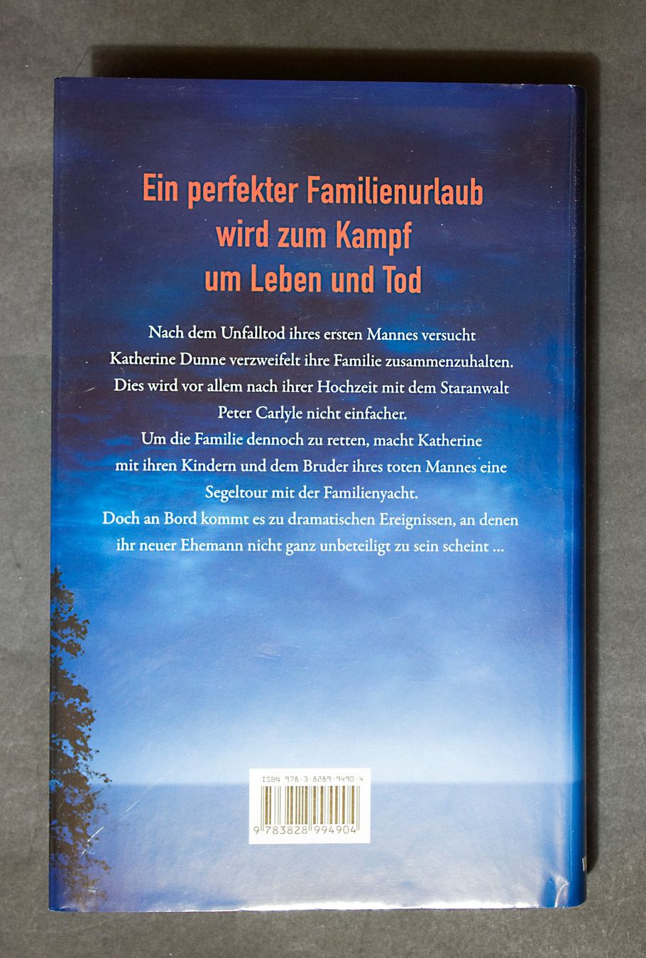 Libri: Höllentrip - James Patterson – Usato da Fraubrunnen venduto da waver3d 1
