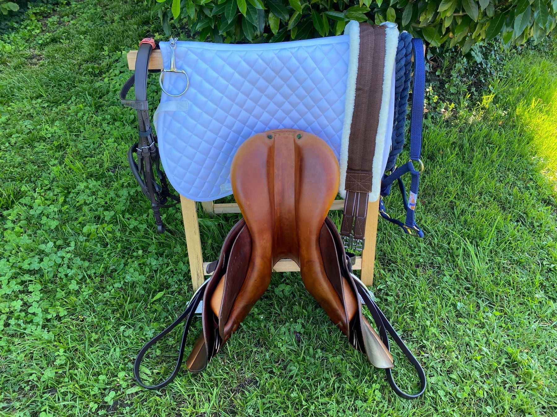 Selle & Accessori: schöner Devoucoux Vielseitigkeitssattel – Usato da Feldbach venduto da Fea1 9