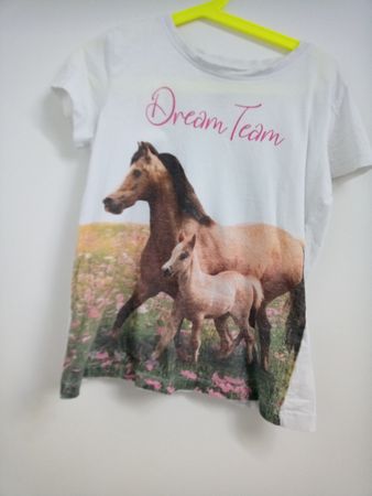 T-Shirt Pferd mit Fohlen Aufdruck Grösse S guter Zustand🐎🌷