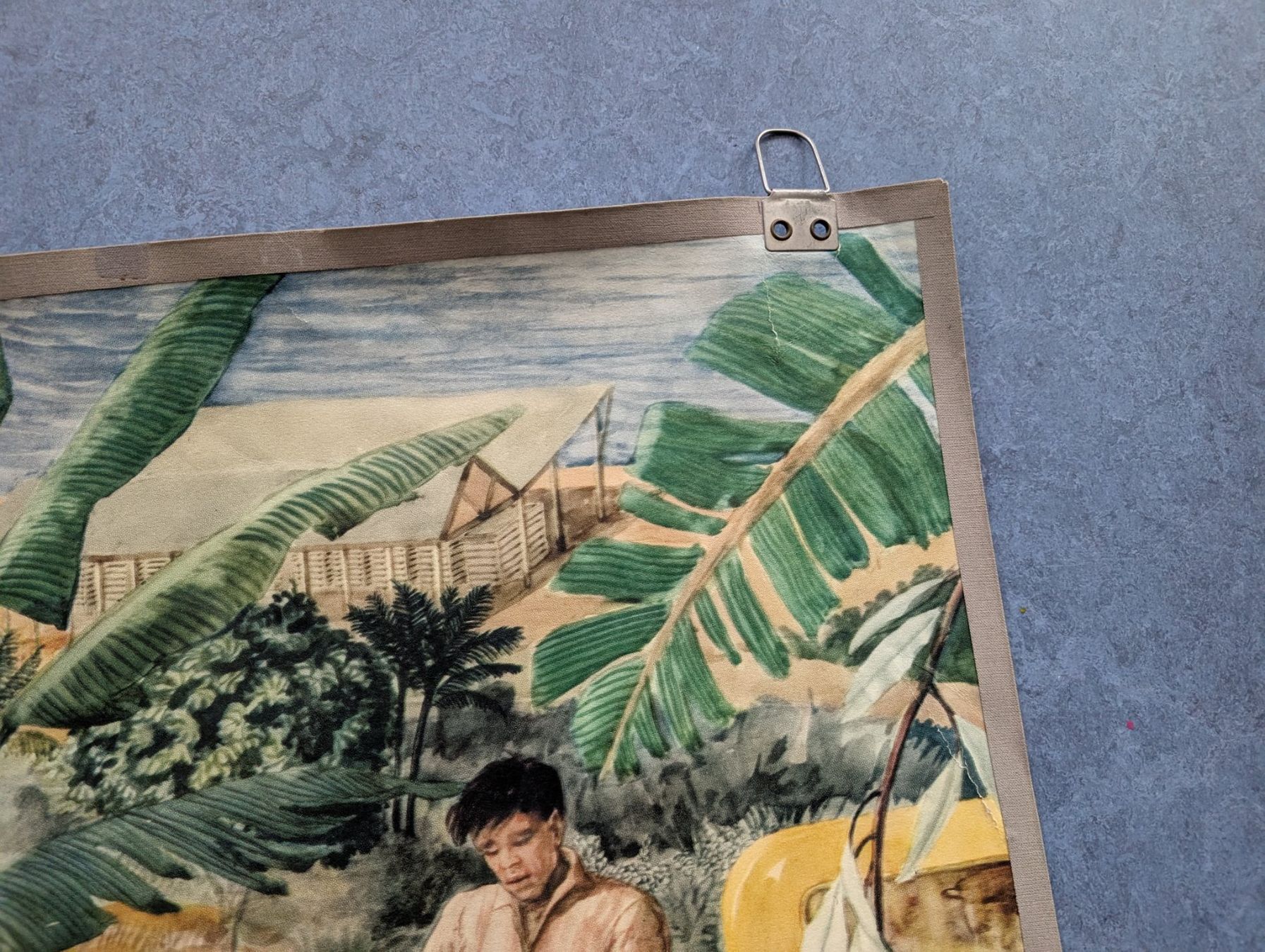 Foto & Immagini: Schulwandbild - Bananenplantage – Usato da Luzern venduto da JenKu 2