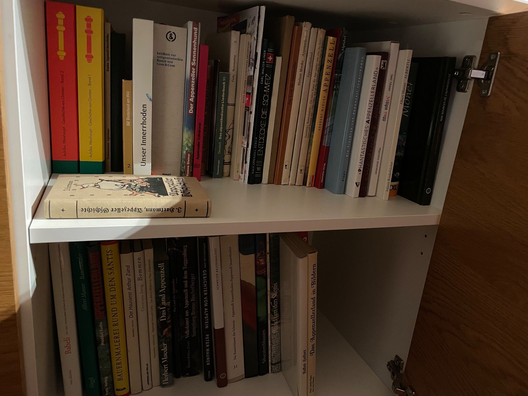 Libri: Sammlung Appenzeller Bücher – Usato da Appenzell Steinegg venduto da trachsler1978