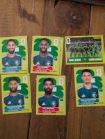 Panini Saudi Arabia