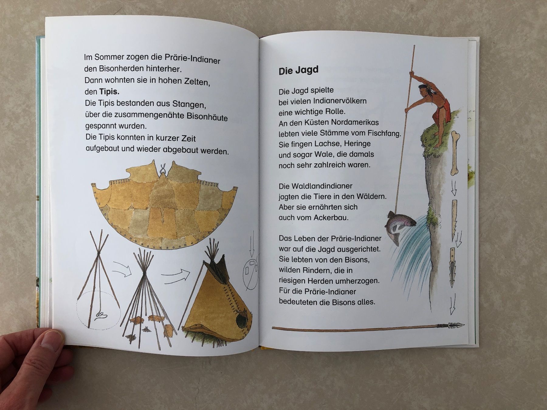 Libri: Kinderbuch: Die Indianer – Nuovo (secondo la descrizione) da Balzers venduto da Kubus 7