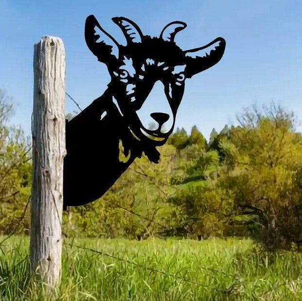 Insegne: Blechschild Geiss - Ziege – Usato da Gerlafingen venduto da Tsuru