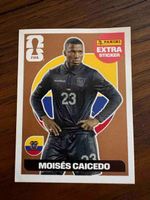 Extra Sticker bronze Caicedo neuf