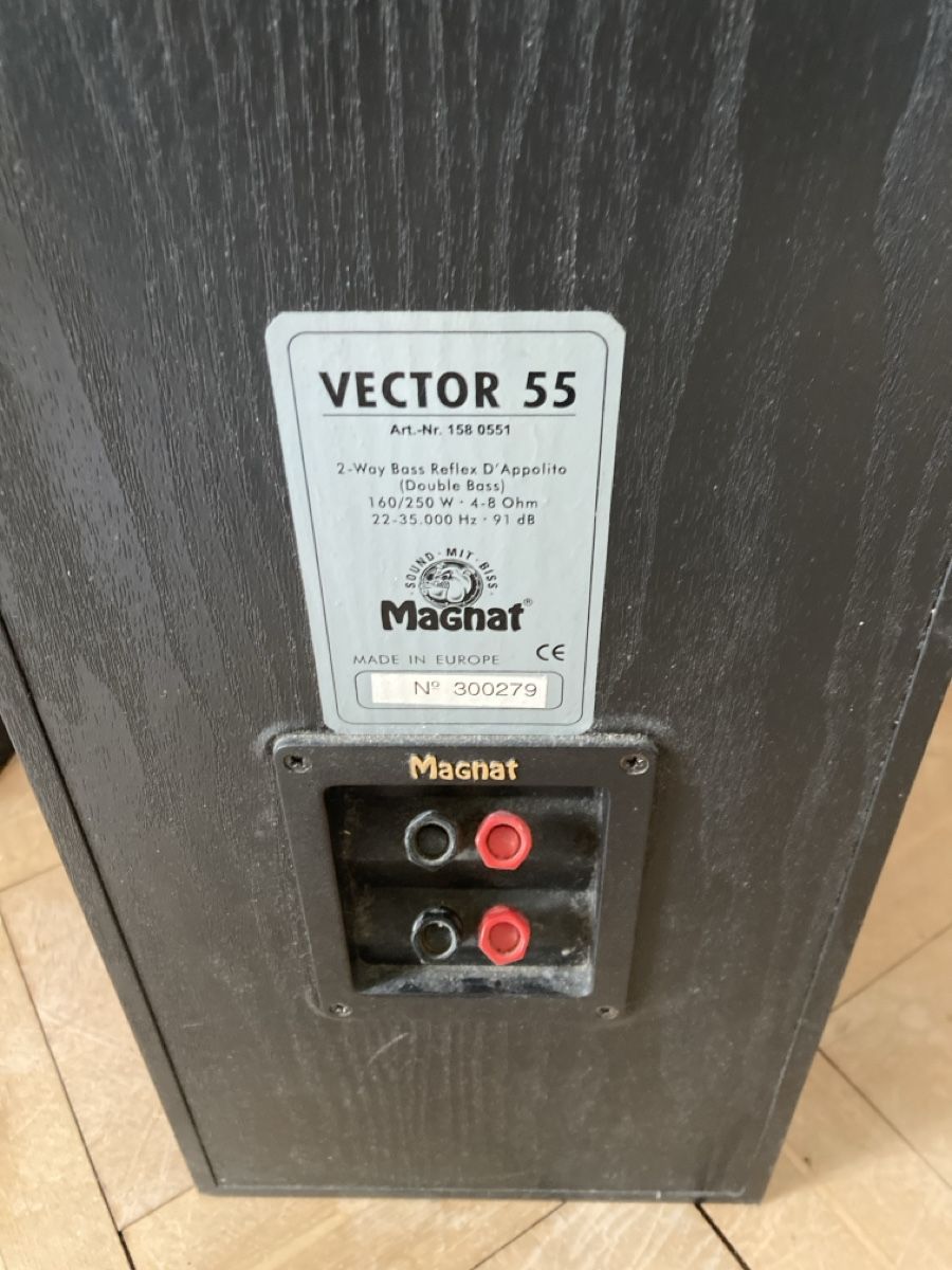 Magnat Casse acustiche: Magnat Vector 55 Standlautsprecher – Usato da St. Gallen venduto da kne_8m9n 1