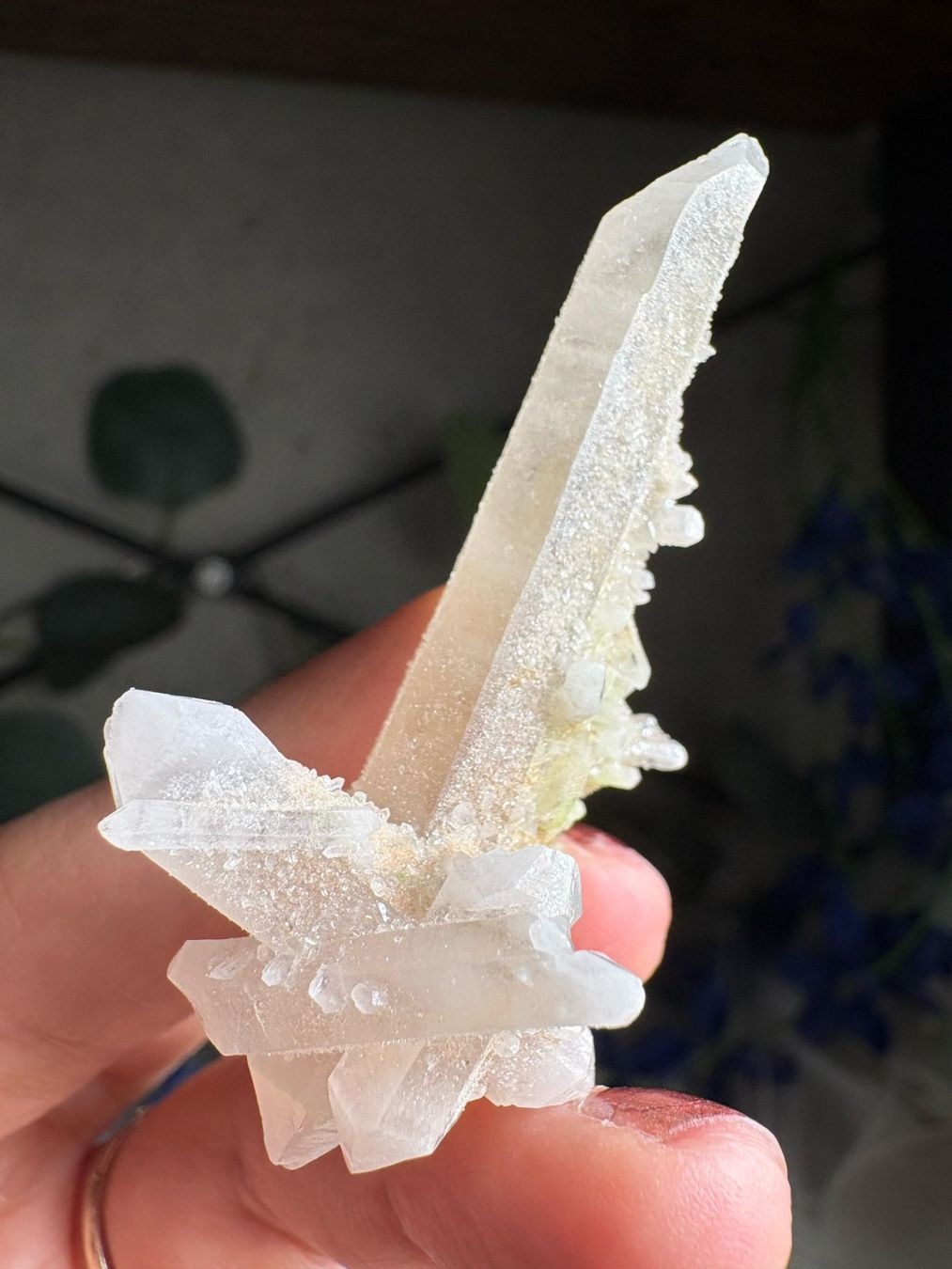 Minerali & Pietre curative: Kolumbianischer Lemurian-Quarz-Cluster – Nuovo (secondo la descrizione) da Neuheim venduto da m.hald 5
