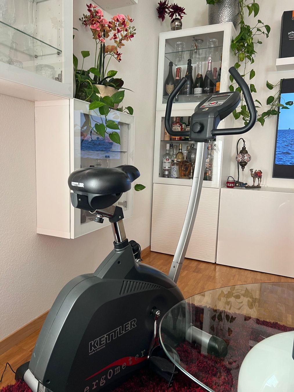 Kettler Hometrainer: Cyclette Kettler Ergo Meter AX1 Usato – Usato da Stäfa venduto da Gatto08 3