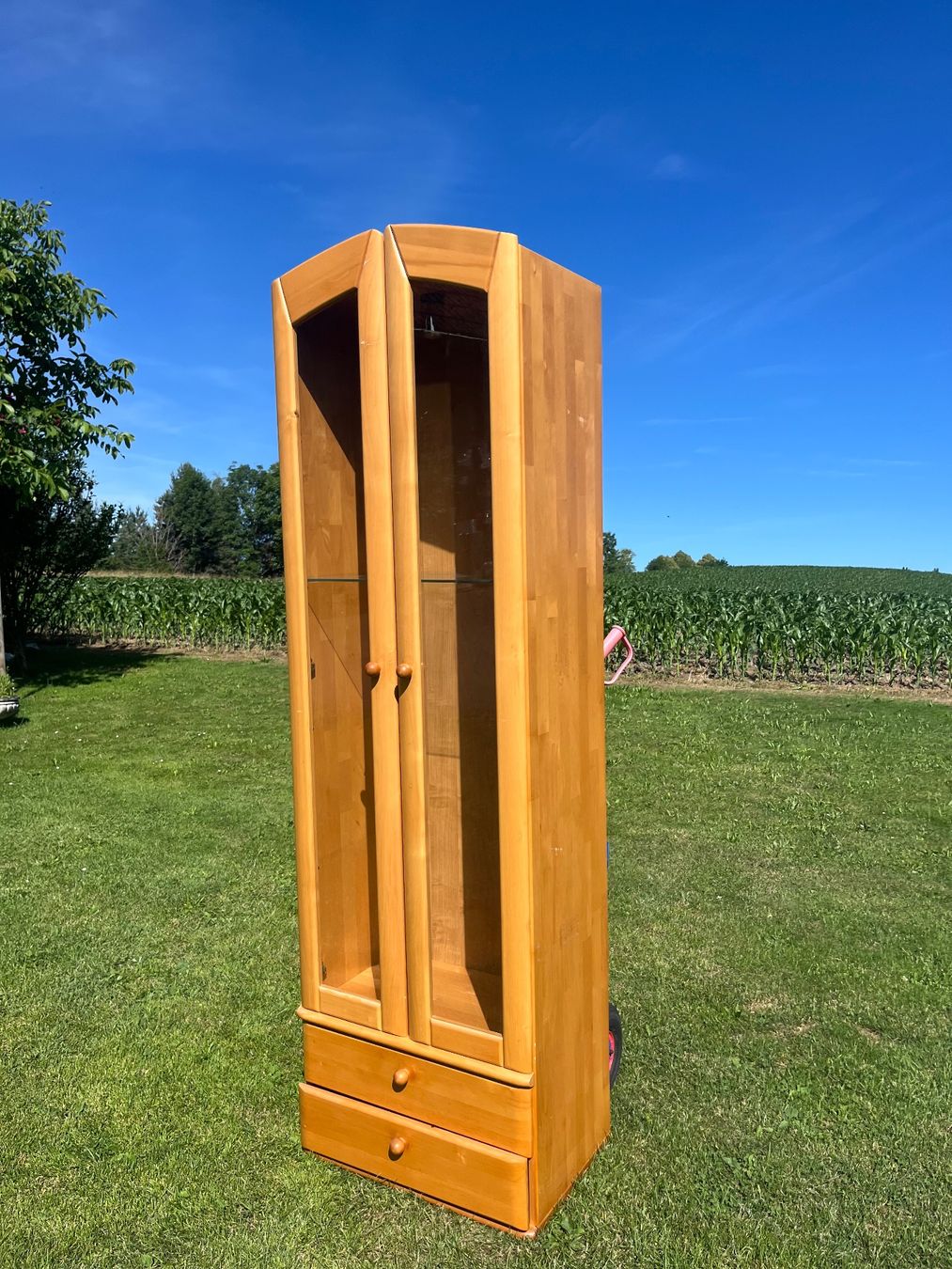 Vetrine: Vitrine 2 Türig mit Lampe ohne Kabel – Usato da Allmendingen b. BE venduto da juair 4