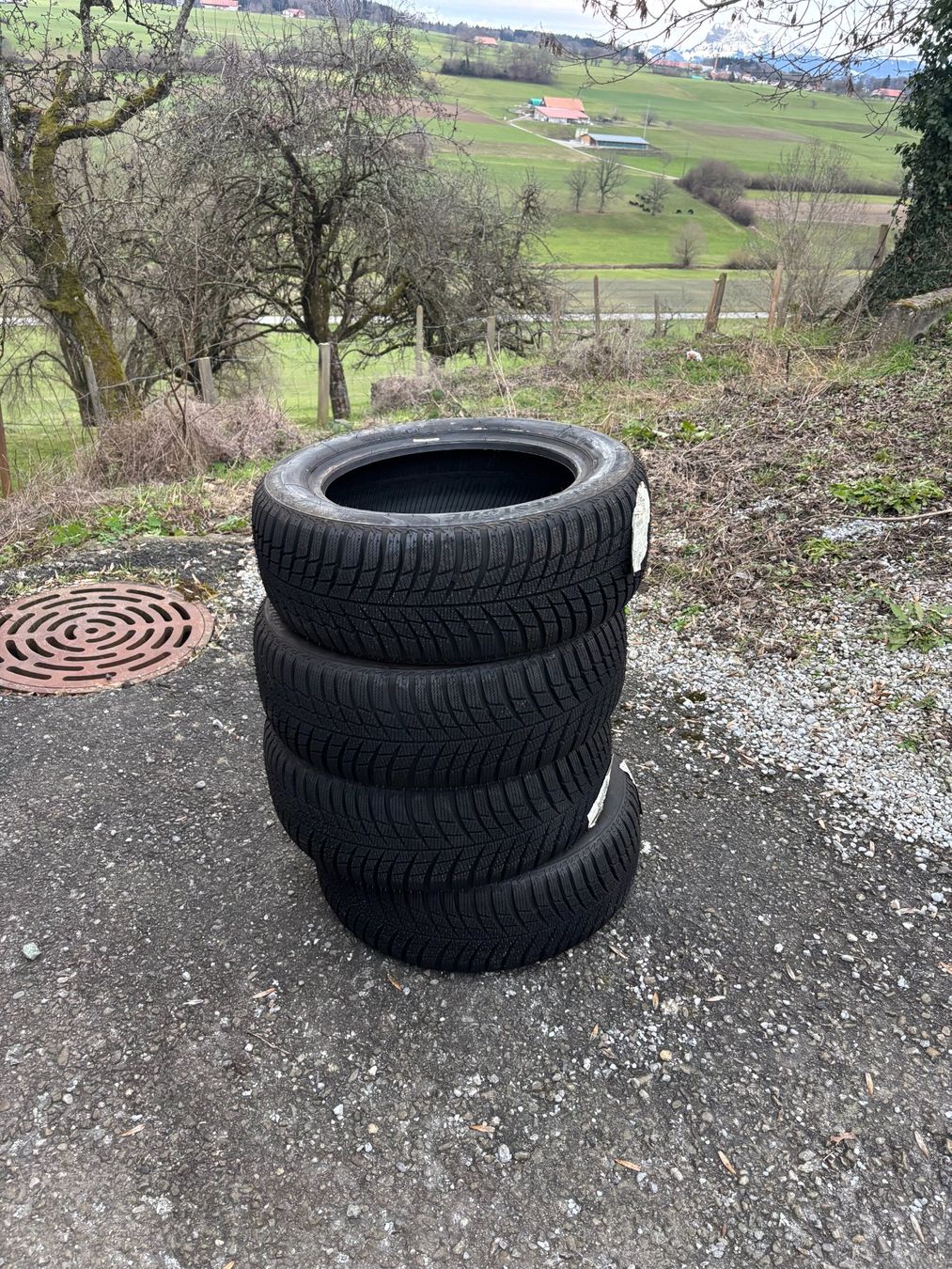 Altro in Scrittura & Disegno: 4 Pneus hiver neuf Bridgestone – Nuovo (secondo la descrizione) da Romont FR venduto da Thoma_bdn