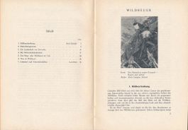 Wildheuer Schulwandbildwerk 1959, Kommentar Jost Hösli