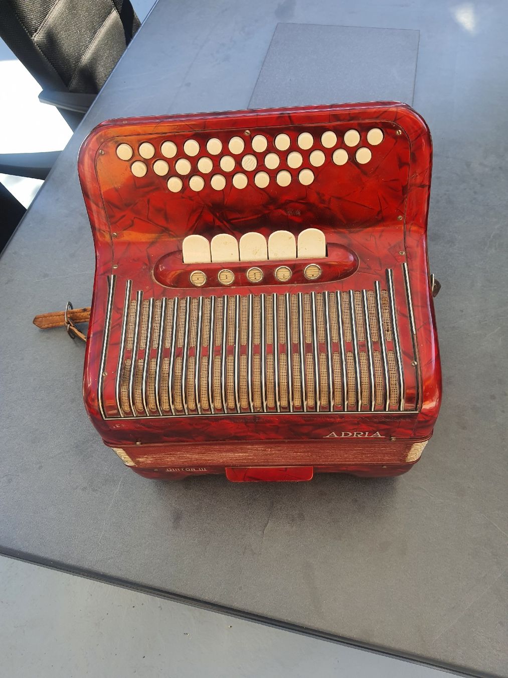 Adria Strumenti musicali: accordéon Adria diatonique  – Usato da Pont-de-la-Morge venduto da Mirabelle0 2
