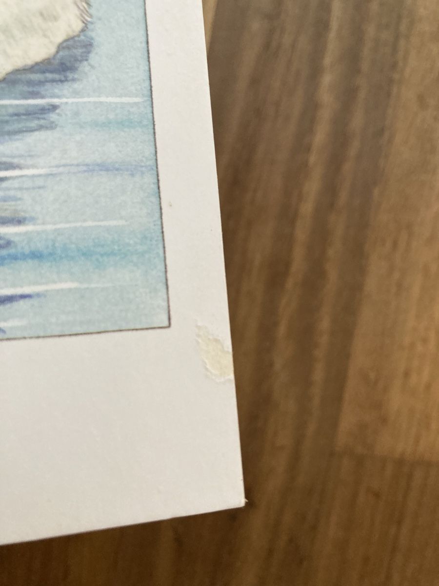 Bücher: Buch- Die kleine Ente – Gebraucht aus Luzern von Aldabema 8