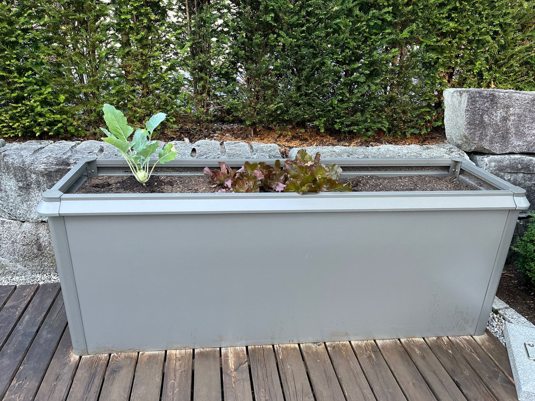Biohort Pots de fleurs: Hochbeet Biohort – D'occasion à Altendorf par GFRI