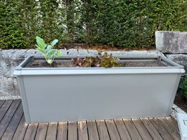 Hochbeet Biohort
