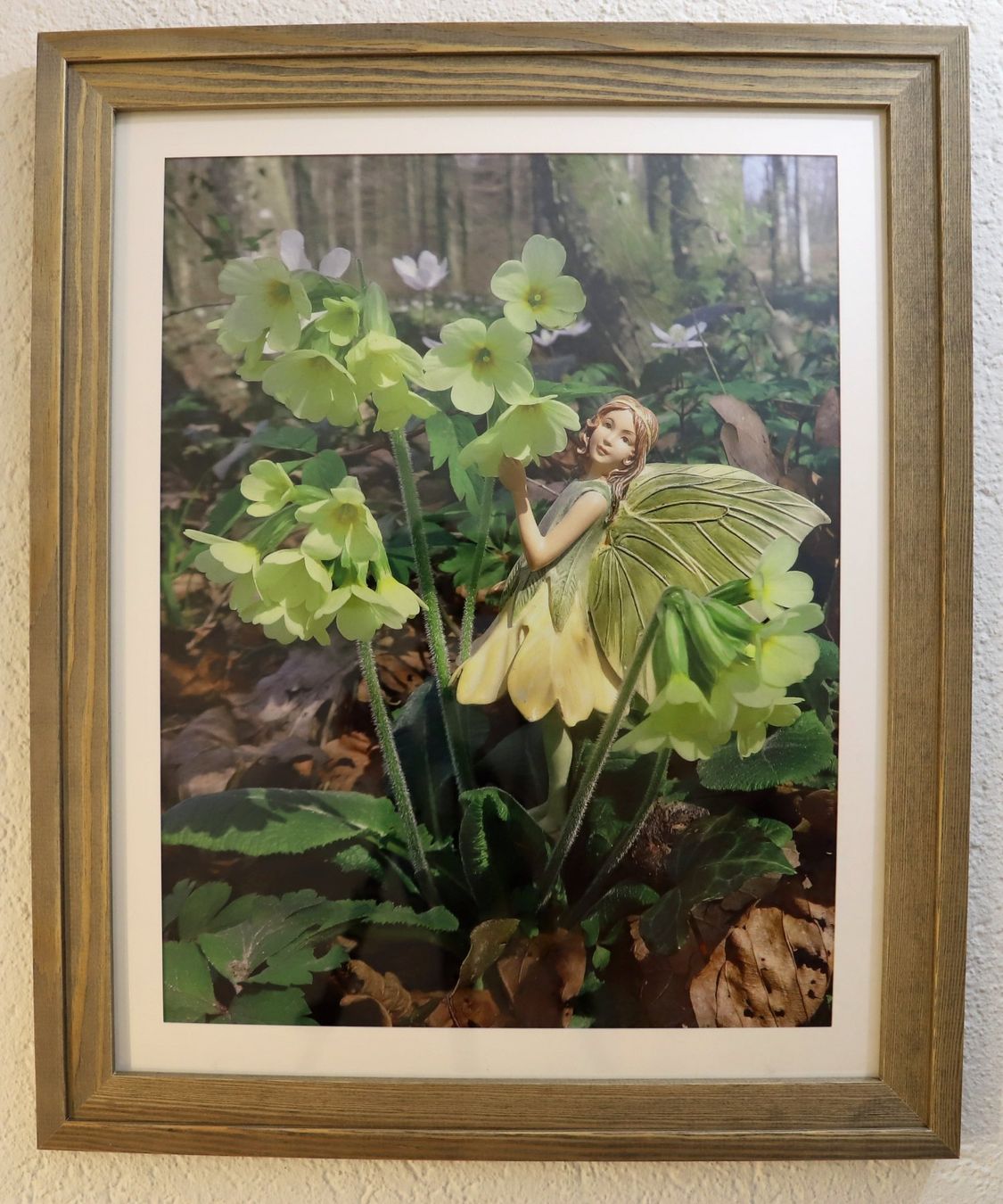Foto & Immagini: Elfenbild Primel (Fotobild und Holzrahmen) – Nuovo (secondo la descrizione) da Volketswil venduto da greifensee11511