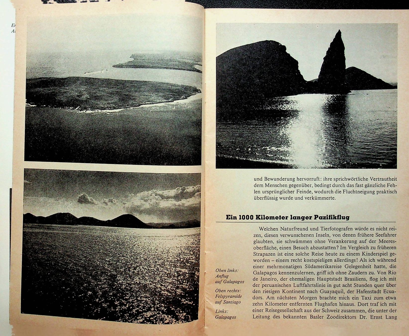 Libri: SJW 1219 Willi Dolder  Galapagos  EA 1973 – Usato da Reitnau venduto da Zaomir 3